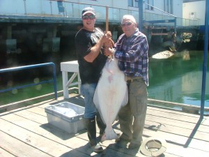 72lb halibut