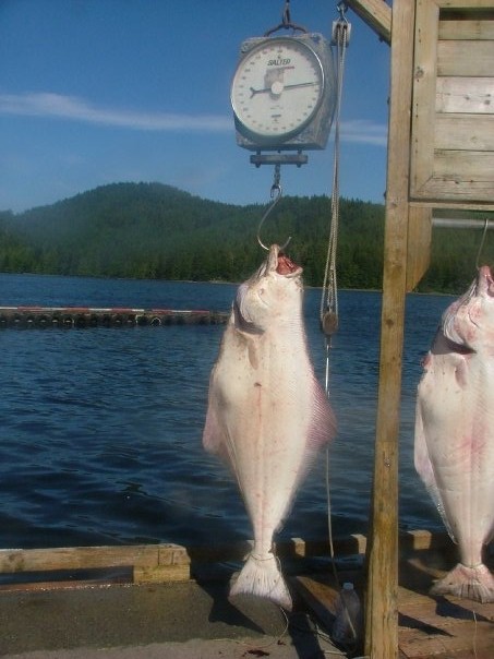 FLAT ONES NEAR SIDNEY BC