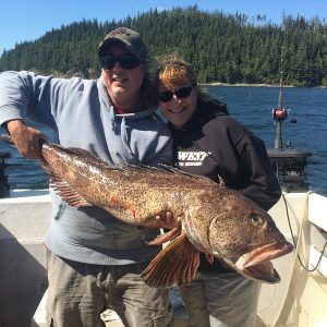 Quatsino Sound Fishing Charters Ling Cod Fishing