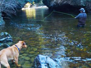 Fly-Fishing-Far-North-2