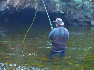 Fly-Fishing-Far-North-2