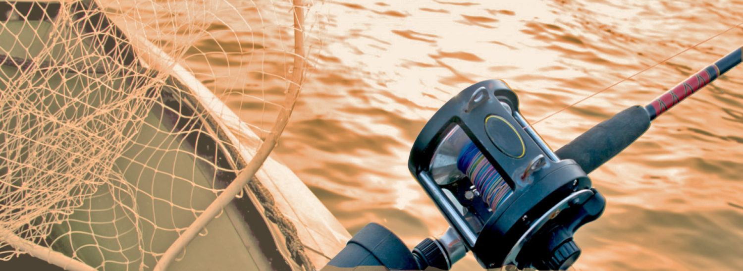 Forfait Pêche à la mouche et hébergement - 4 nuits / 3 jours — Hook'n Them Up Fishing Charters – Hook'n Them Up Fishing Charters