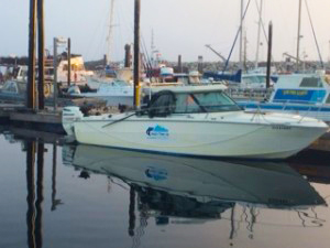Our 27 ft searay charter boat