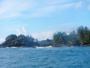 wEST cOAST vANCOUVER iSLAND eCO tOURS